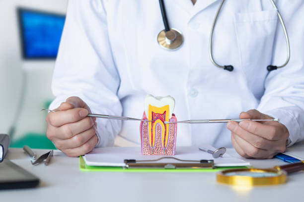 Best After-Hours Emergency Dentist in Maquoketa, IA
